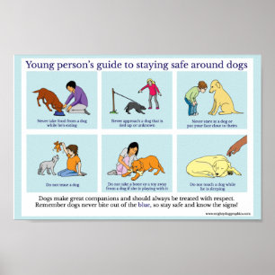 Affiche de sécurité pour chien