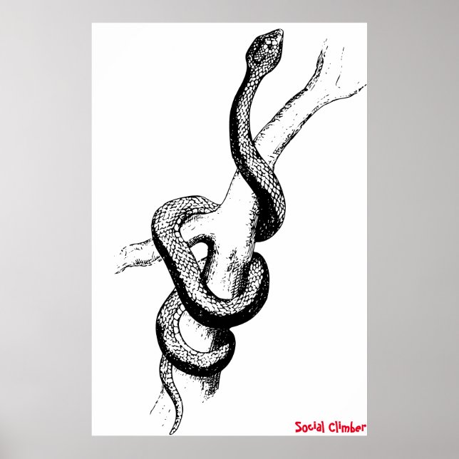 Affiche de serpent (Devant)