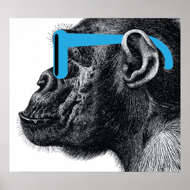 Affiche de Shades Funny (Devant)