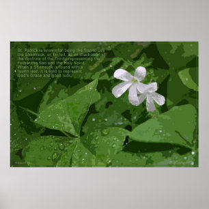 Affiche de shamrock avec le texte -36x24 - ou plus