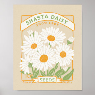 Affiche de Shasta Daisy