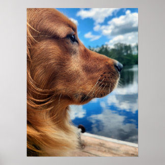Affiche de silhouette de Golden Retriever