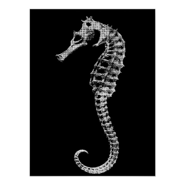 Affiche de squelette d'hippocampe scientifique (Devant)