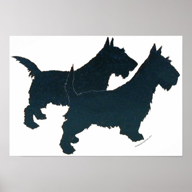 Affiche de Terrier Écossais (Devant)