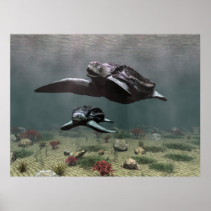 Affiche de tortue de Leatherback