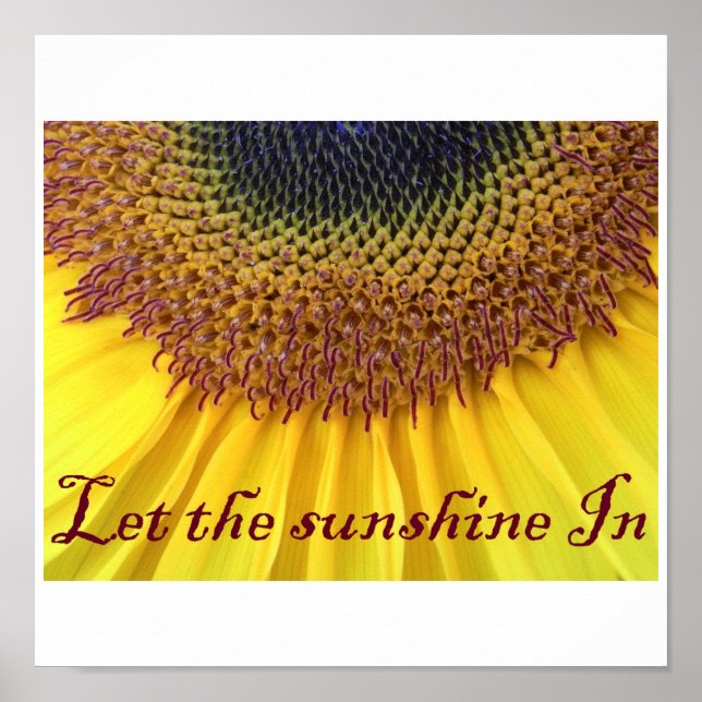 Affiche de tournesol (Devant)