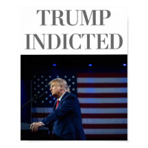 Affiche de Trump