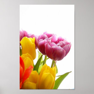 Affiche de tulipes violettes et jaunes