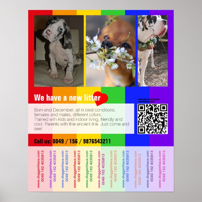 Affiche de vente de chiots avec QR code (Devant)