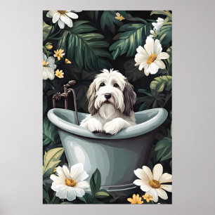 Affiche de vieux chien de berger anglais dans une