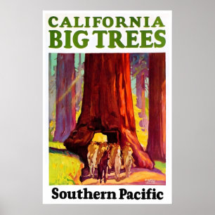 Affiche de voyage Californie Redwoods Art du Sud