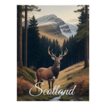 Affiche de voyage Cerf en Écosse dans la forêt