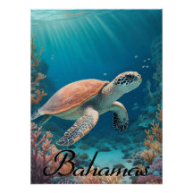 Affiche de voyage de la tortue marine des Bahamas