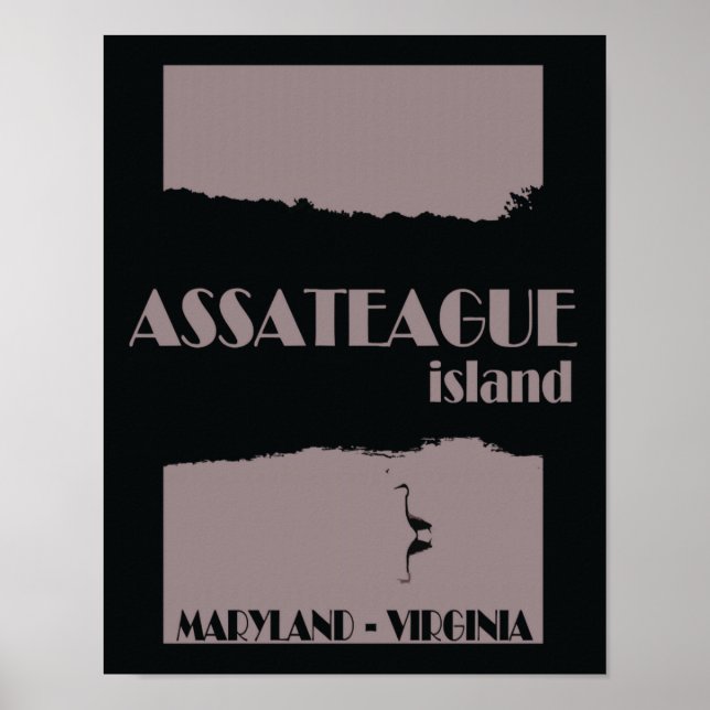 Affiche de voyage de l'île d'Assateague (Devant)