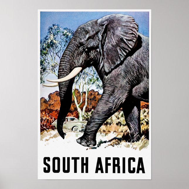 Affiche de voyage en Afrique du Sud (Devant)