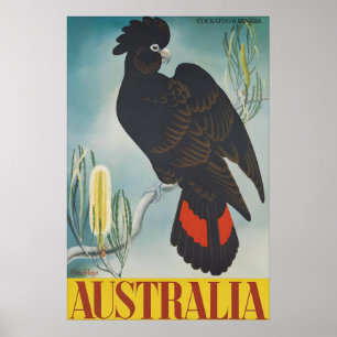Affiche de voyage Vintage Australie Cacatoès noir