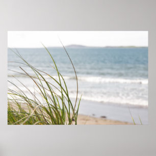 affiche de vue d'herbe de dune de sable