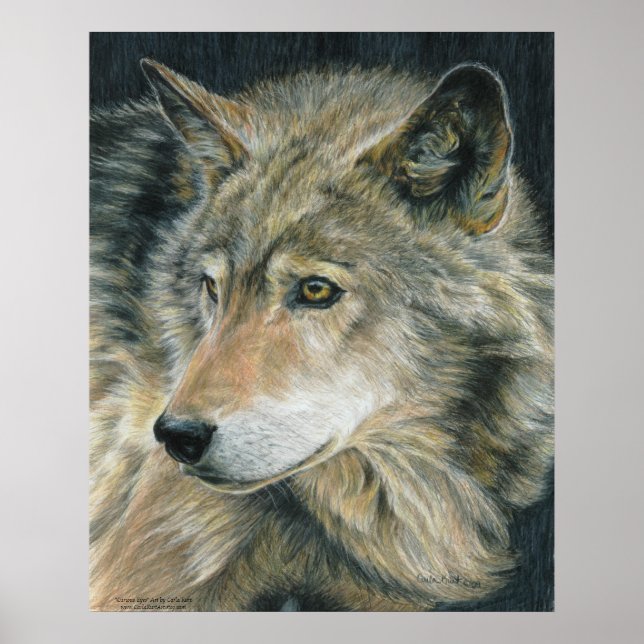 Affiche de Wolf Art (Devant)