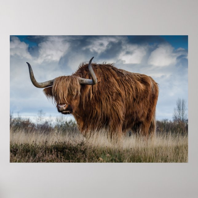 Affiche de Yak (Devant)