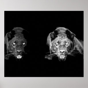 Affiche de Yeux de Chat Jaguar Noir Sauvage