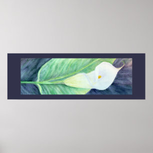 Affiche de zantedeschia