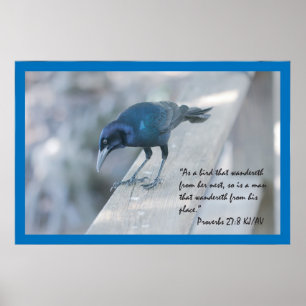 Affiche d'écriture sainte de 27:8 de proverbes