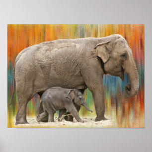 Affiche d'éléphant de mère et de bébé