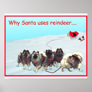 Affiche d'équipe de traîneau