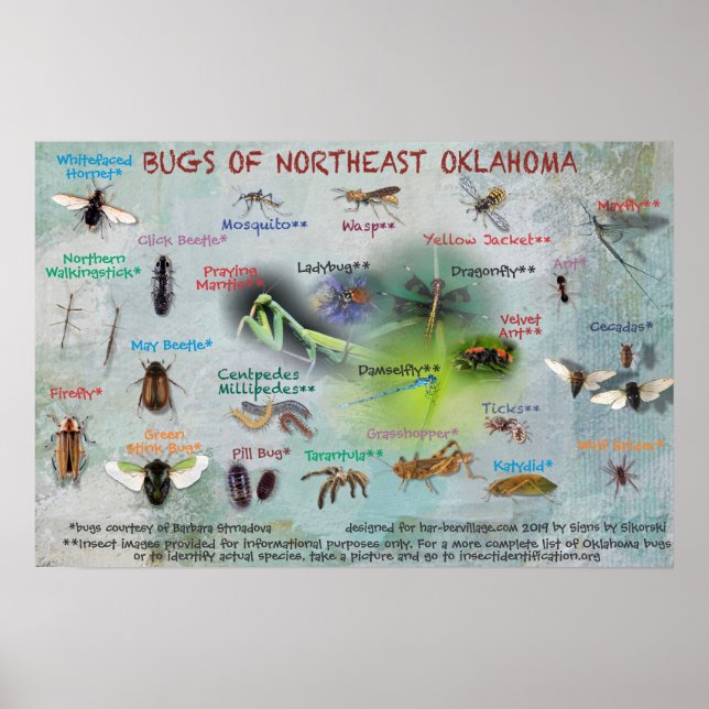 affiche des bogues du nord-est de l'Oklahoma 19 (Devant)