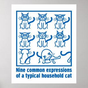 Affiche des expressions de chat