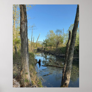Affiche des réflexions sur le paysage aquatique du