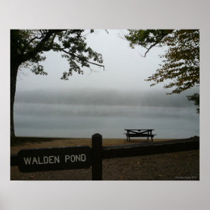 Affiche d'étang de Walden - brume contemplative