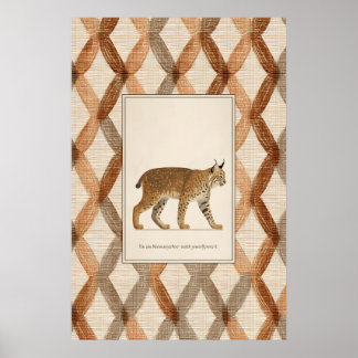 Affiche d'illustration d'animal Lynx Impression d'
