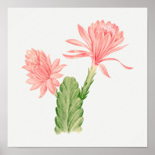 Affiche d'illustration vintage