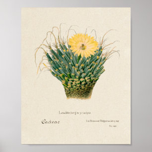 Affiche d'illustration vintage