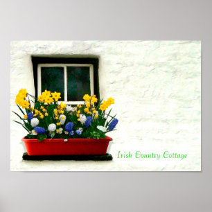 Affiche d'images irlandaises