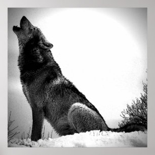 Affiche d'impression de loup hurlant à la lune - A