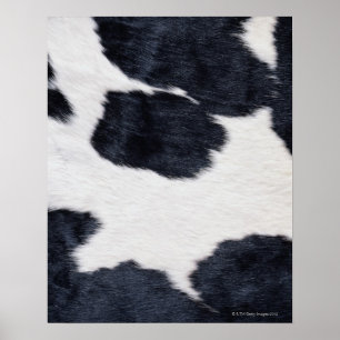 Affiche d'impression de peau de vache