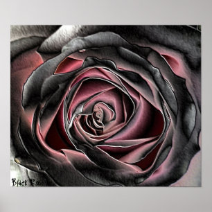 Affiche d'impression de toile de rose de noir