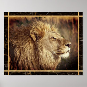 Affiche d'impression d'image photo de lion monochr