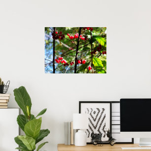 Affiche d'impression photo de baies rouges sur l'a
