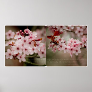 Affiche Diptyque Sakura