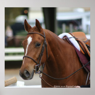 Affiche diversifiée Artie 2