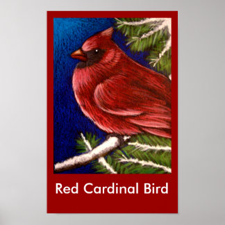 AFFICHE D'OISEAU CARDINAL ROUGE