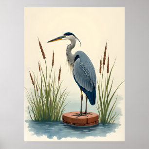 Affiche d'oiseau de marais Héron cendré aquarelle