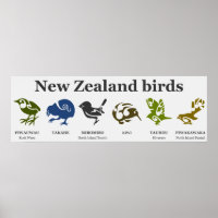 Affiche d'oiseaux néo-zélandais