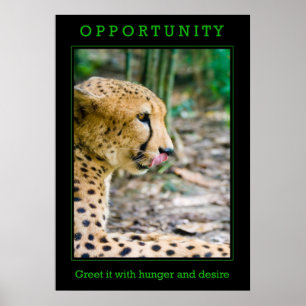 Affiche d'opportunité