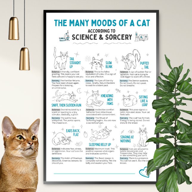 Affiche drôle du langage corporel du chat – Tablea (Créateur téléchargé)