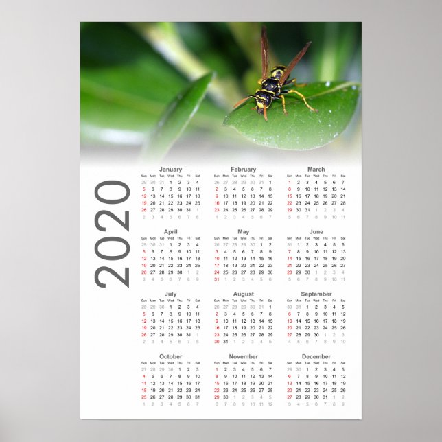 Affiche du calendrier 2020 de Wasp (Devant)