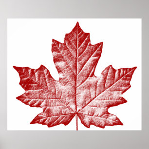 Affiche du Canada Affiche de la feuille d'érable d